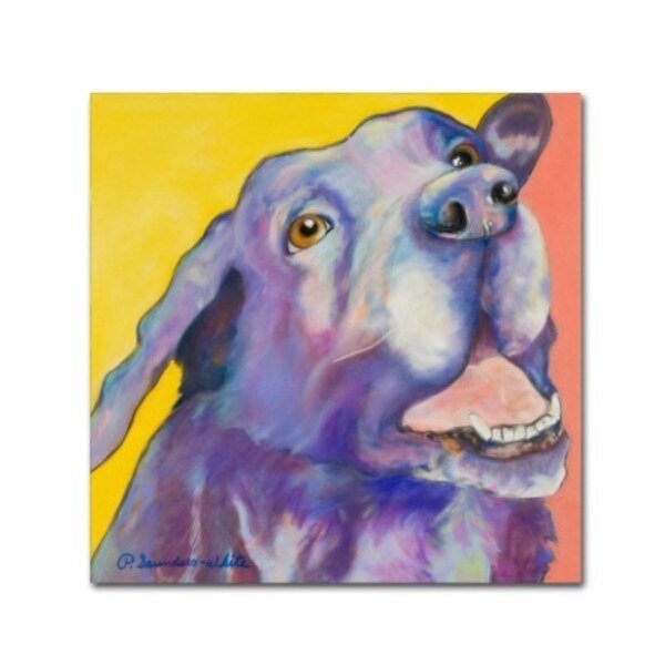 Pat Saunders-White 'Shadow' Canvas Art, 14x14, Trademark Fine Art, Mfr#: PS209-C1414GG